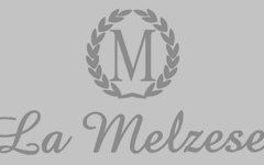 sponsor_melzese